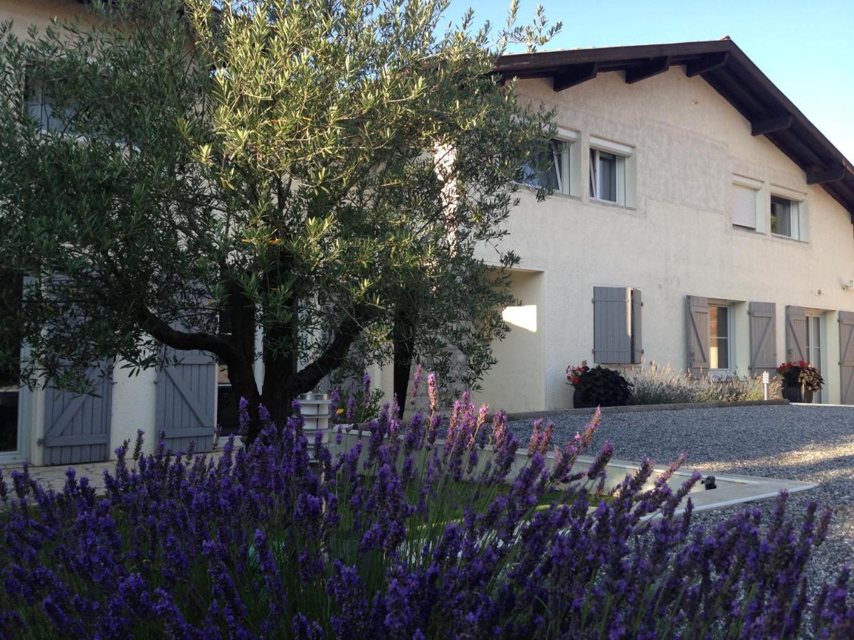 Bed and Breakfast Aux Sources D'Hossegor Соортс-Оссегор Екстер'єр фото